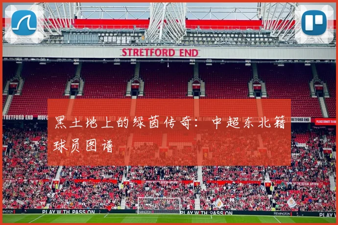 黑土地上的绿茵传奇：中超东北籍球员图谱