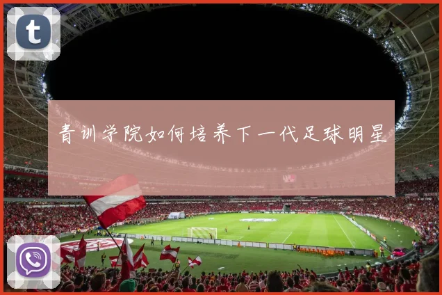 青训学院如何培养下一代足球明星