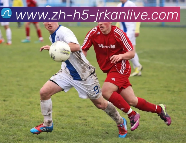 jrkan直播平台生态图